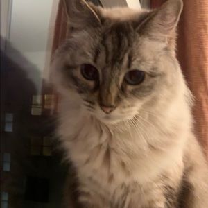 Meet your Posher, Agnes